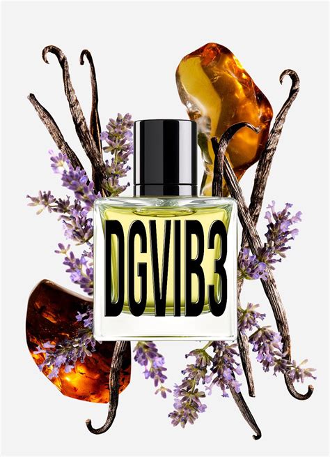 dgvib3 perfume.